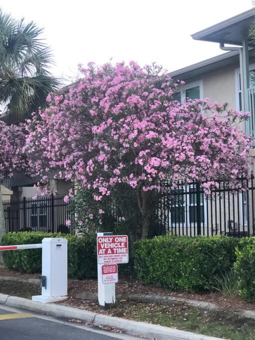 Happy Heron, Steps To Beach Apartment Panama City Beach Exterior foto